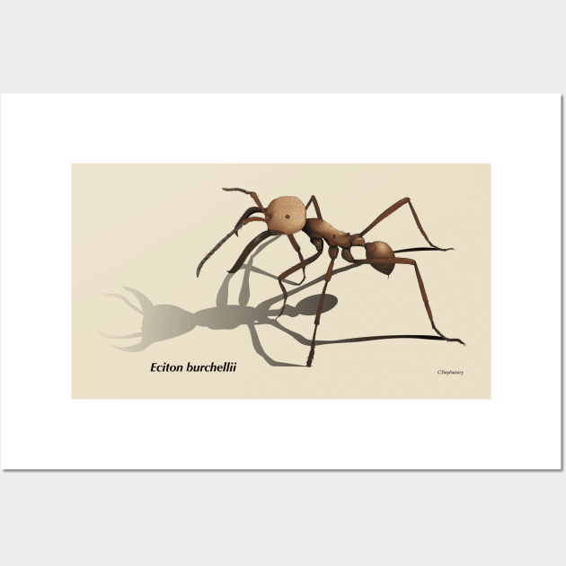 Army ant Wall Art by CTinyFactory